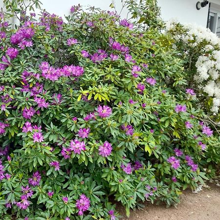 Les Abelias Bed & Breakfast Hauterive  Luaran gambar