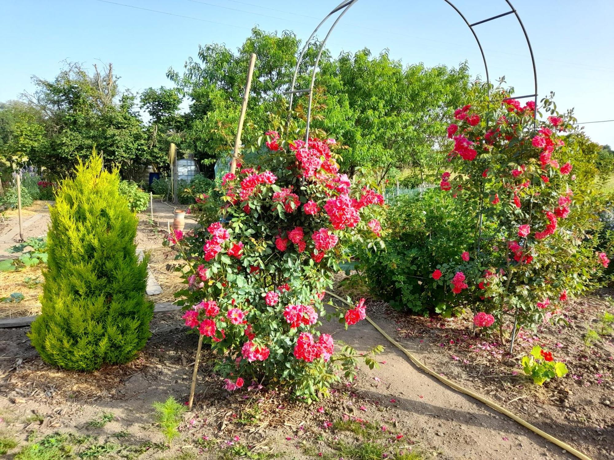 Les Abelias Bed & Breakfast Hauterive  Luaran gambar