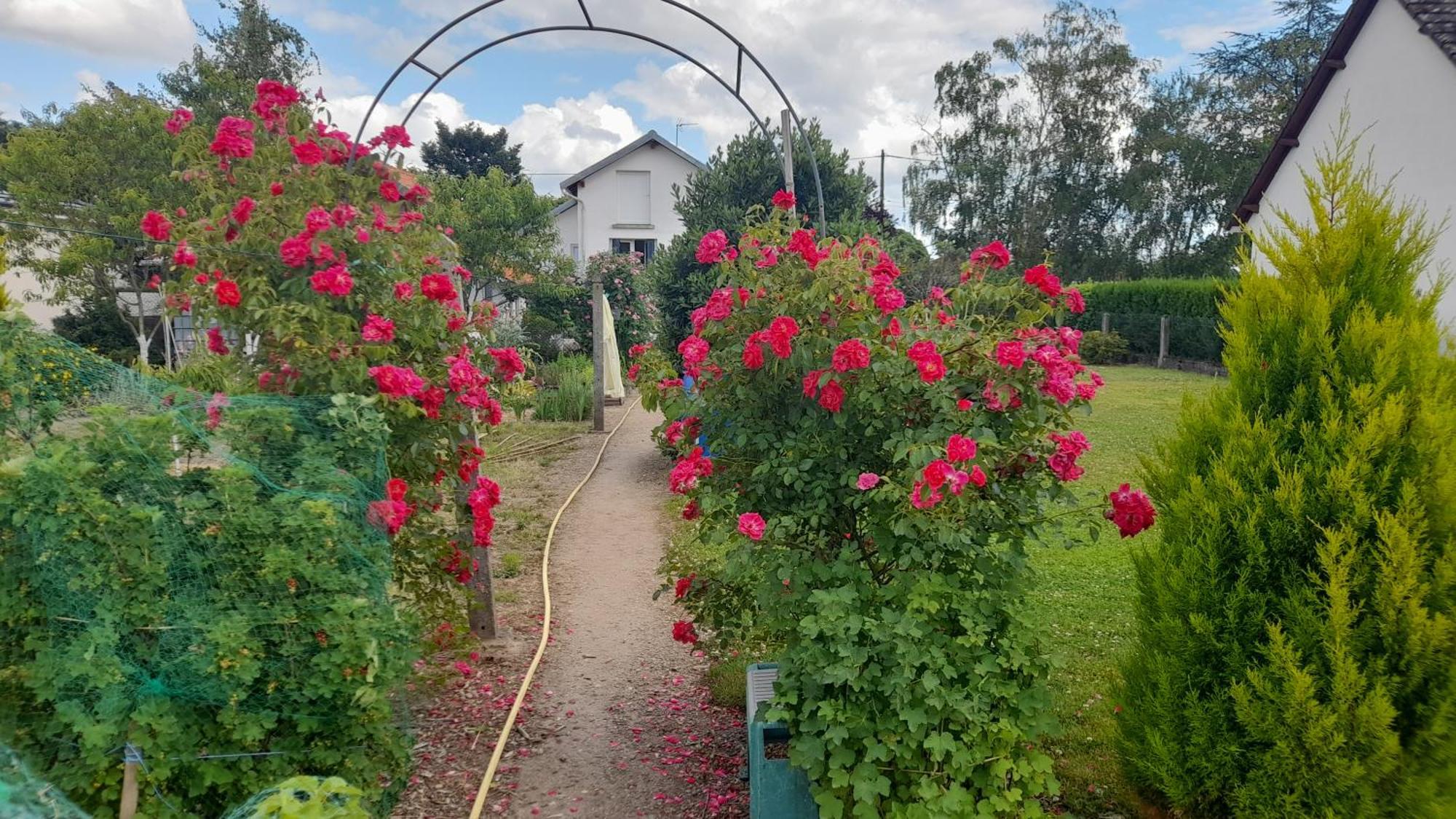 Les Abelias Bed & Breakfast Hauterive  Luaran gambar